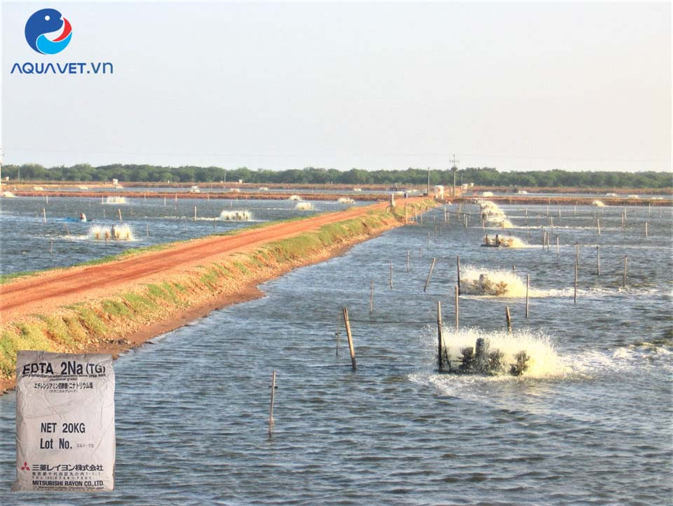 EDTA trong thủy sản