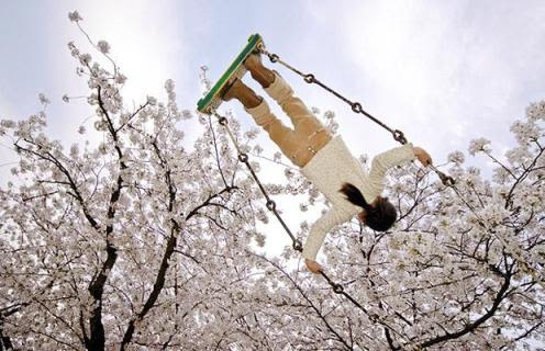 دیدنیها