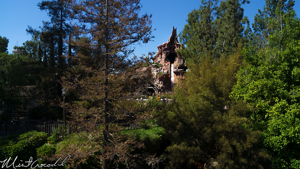 Disneyland Resort, Disneyland, Critter, Country, Refurbishment, Refurbish, Refurb, Splash, Mountain, Hungry, Bear, Restaurant, Winnie, Pooh, Briar, Patch