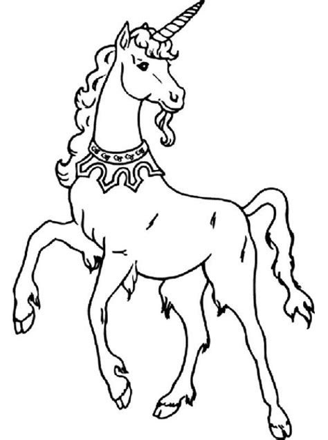 kids  fun kleurplaat eenhoorn eenhoorn