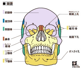 顎関節症の整体について