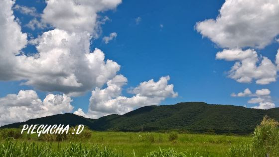 86525815-056e-4dd0-a847-4d5e1ffd7f6c