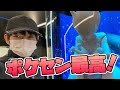 [最も好ましい] ポケモン センター スタッフ 194802-ポケモンセンター スタッフ募集
