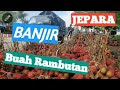 Jepara Banjir Rambutan Harga Turun Drastis Perikat Rp 13 Ribu - 15 Ribu