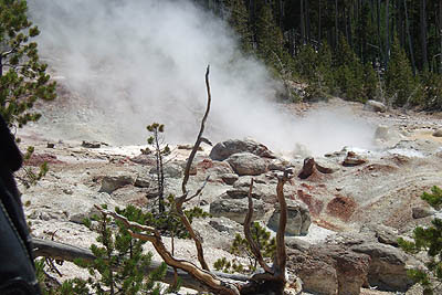 steamboat 1.jpg