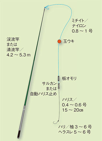 ウミタナゴ 海鱮 釣りの仕掛け講座 海水編 房総爆釣通信