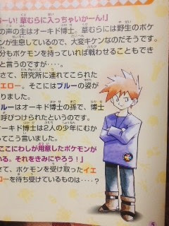ポケットモンスター ピカチュウ版 プレイ日記 牡丹一華と日記帳