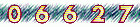 website hit counter