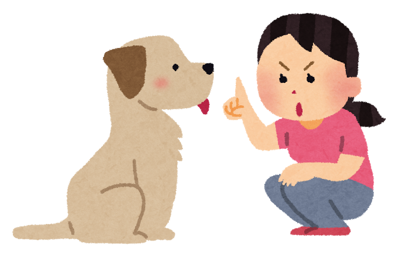 犬は怒られたとき 本当に反省してるの 犬の総合情報サイト ペットスマイルニュースforワンちゃん