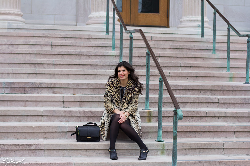 leopard and tweed-3.jpg