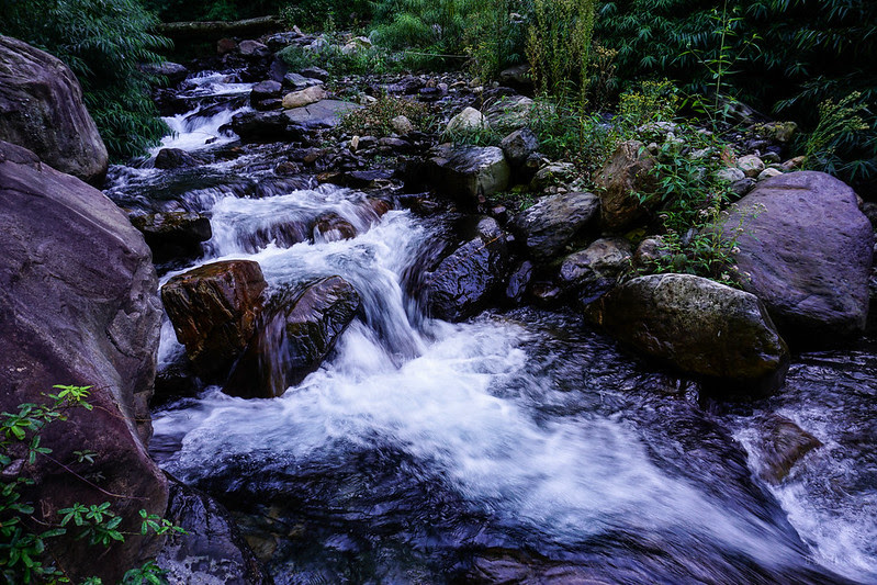 DSC07303