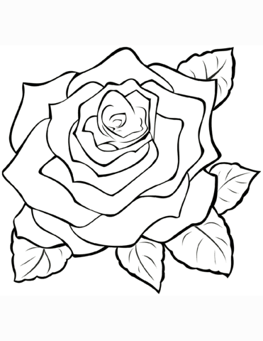 Rose Coloring Page Free Printable Coloring Pages