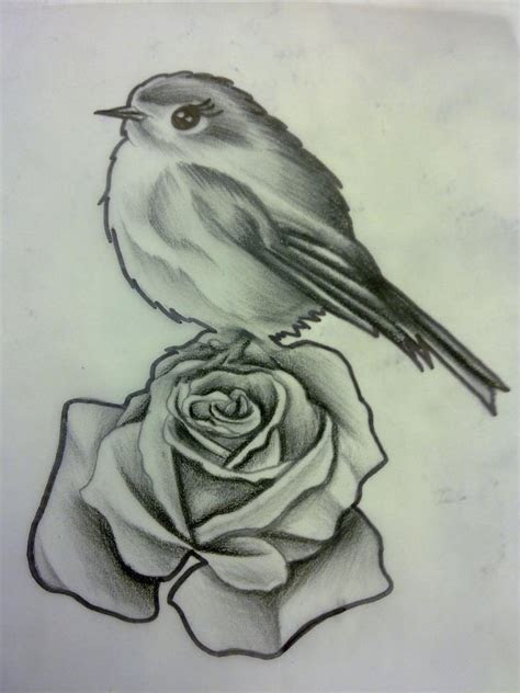 rose  bird sketch dandy drawings pinterest