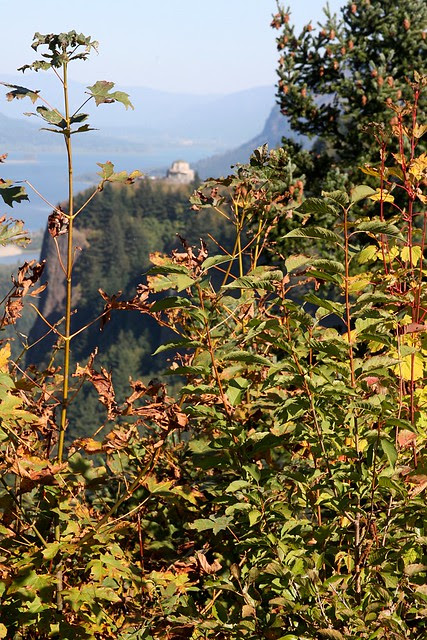 crown point, autumn '09