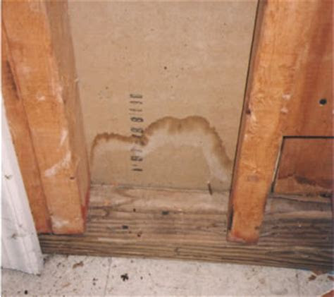 hidden mold  moisture   home