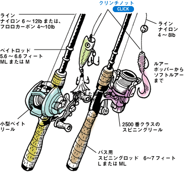 Daiwa 11 ブラックバスをいろいろなタイプのルアーで釣る Web Site