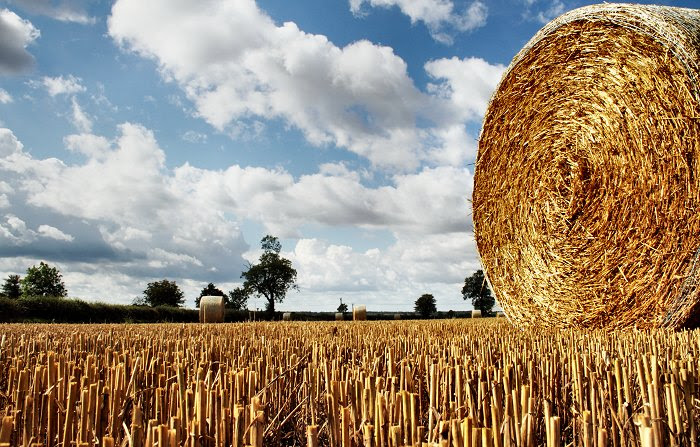 Hay Bales