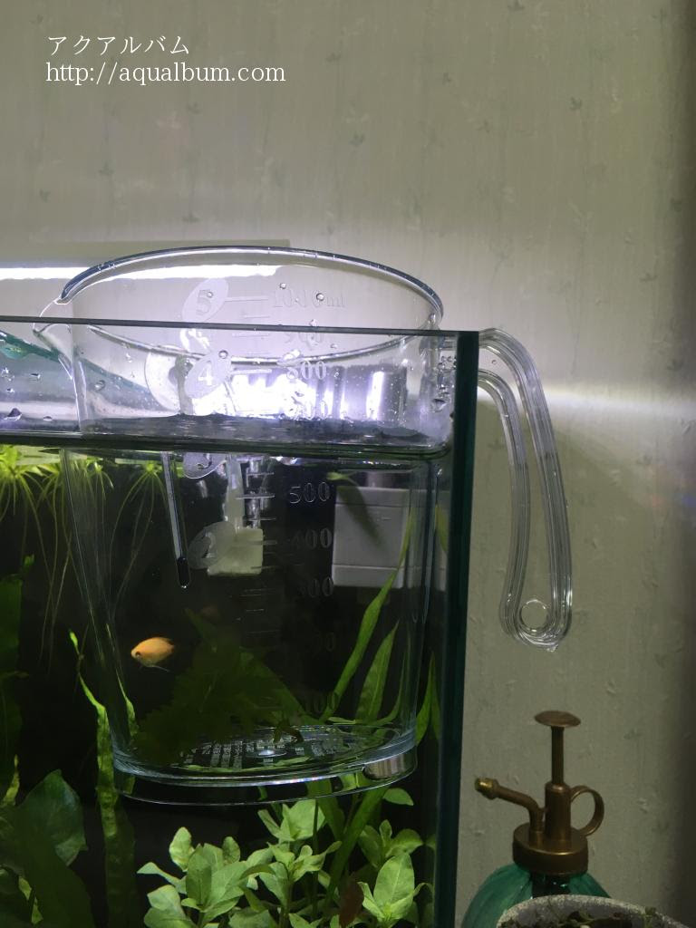 エビ様水合わせなう アクアルバム