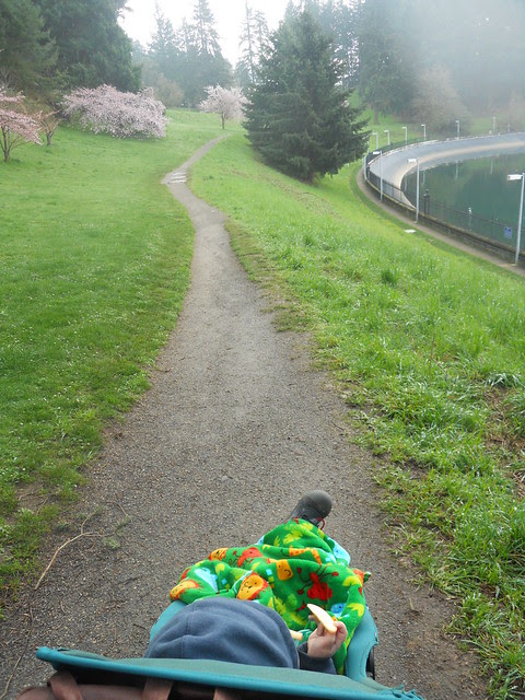 spring2011 208