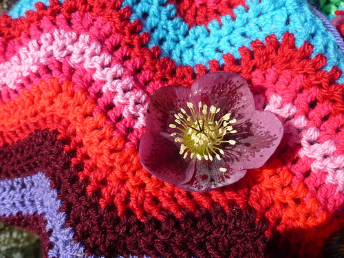 Hellebore and crochet