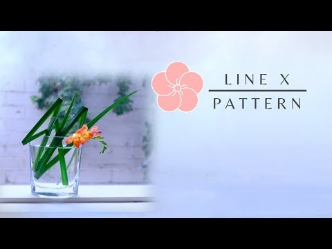 Level 3.4: Line X Pattern (19 February 2022)