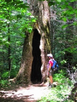 2015 Classic Hikes of the Smokies Schedule