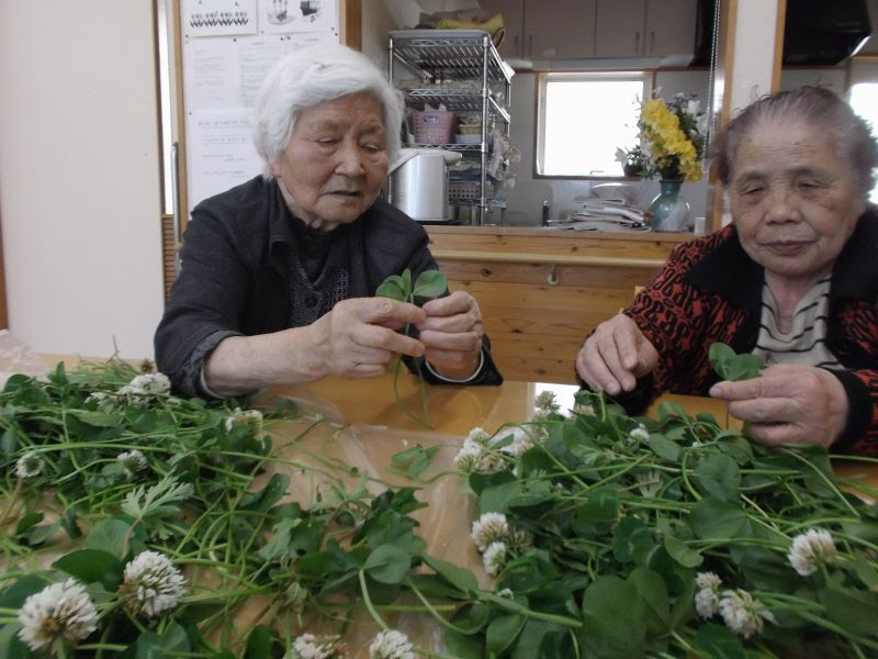 医療法人 近藤内科医院 お知らせ