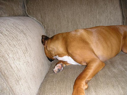Camera Shy
