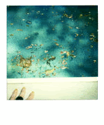 seasons Pictures, Images and Photos