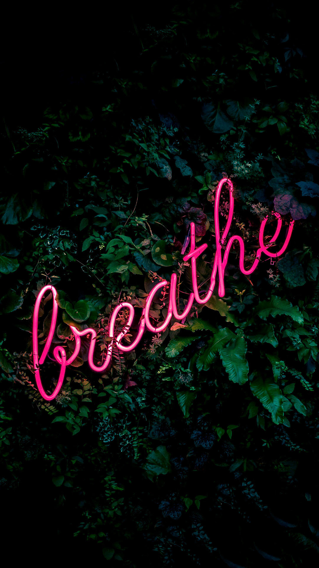 Neon Lights iPhone Wallpaper (76+ images)