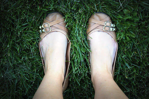 green grass in our front yard