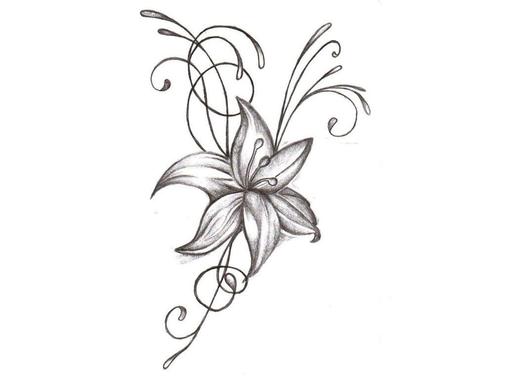 Free Transparent Flower Drawing Tumblr Download Free Clip Art