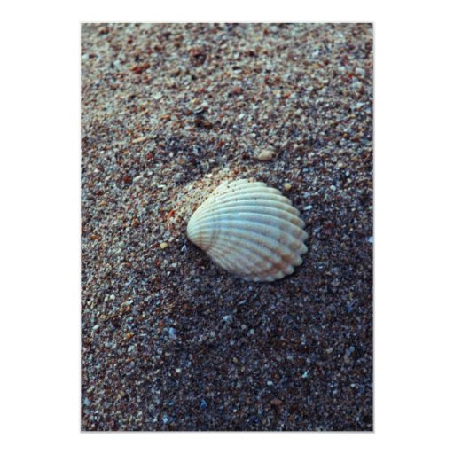 Snailshell 5x7 Paper Invitation Card