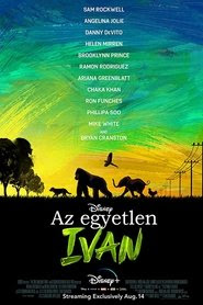 Kép