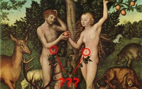 Adan y Eva: Barro y costilla?