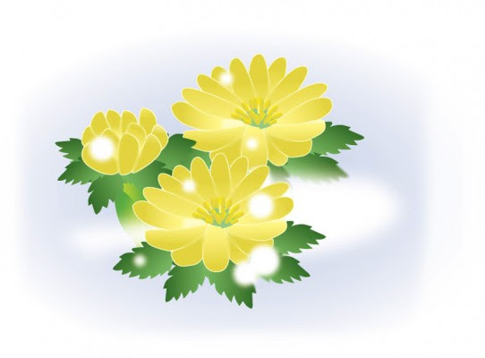 福寿草の花言葉 英語名 由来は モグラの怒りの花 春夏秋冬