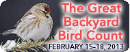 Great Backyard Bird Count