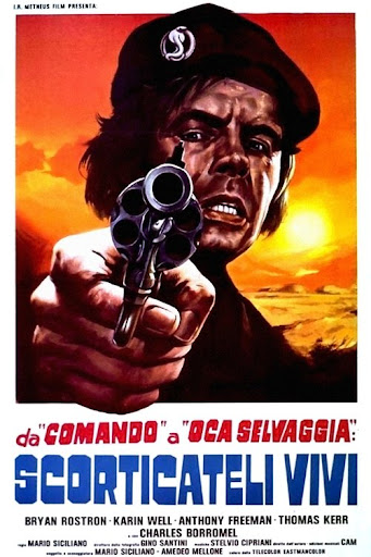 Kép