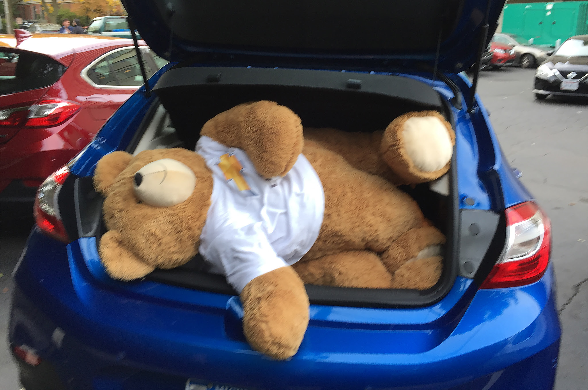 2017 Chevrolet Cruze hatchback bear in trunk