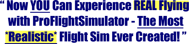 The #1 in Flight Simulator Games - ProFlightSimulator Flight Sim Game