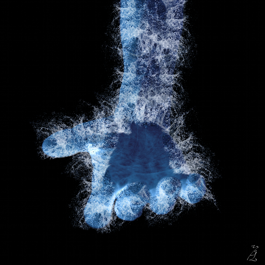Water Carrier