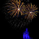 Wishes 03 by Mark Fendrick