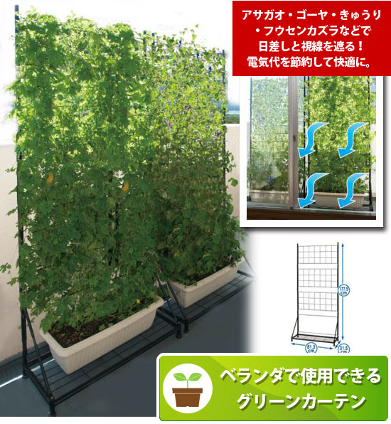 グリーンカーテン用フレーム 緑のカーテン ベランダ用2個 の通販 送料無料