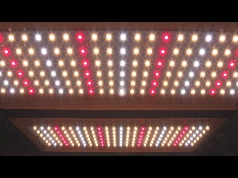 DIY QUANTUM BOARD STYLE LED GROW LIGHT UNBOXING, PAR TEST & HEAT TEST! - YEARLD PRO 170W