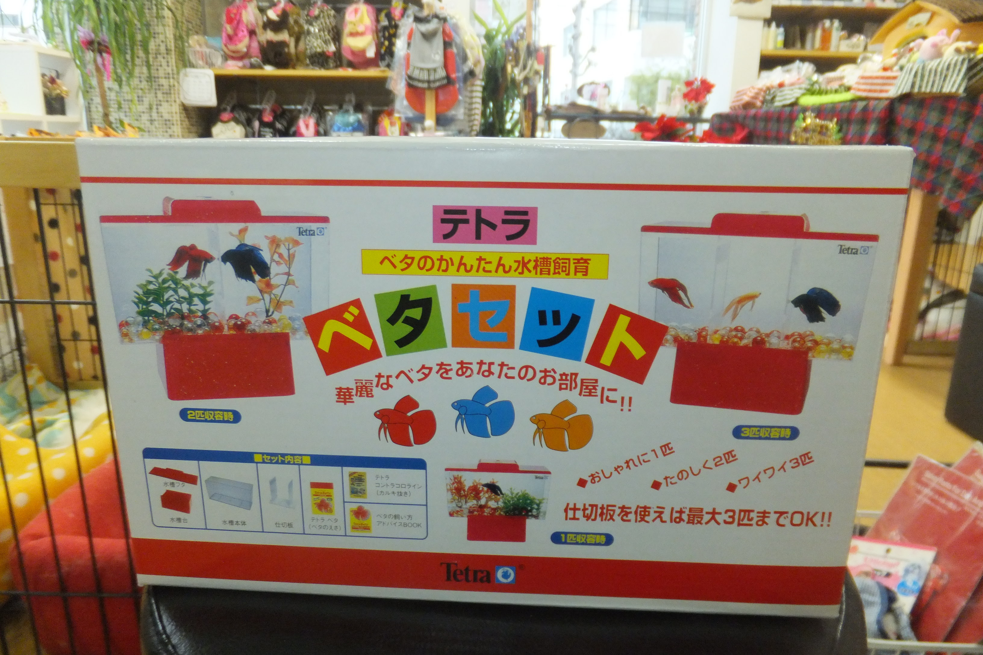2 26 ベタセット ペットショップ Peki Farm ペットと一緒に買い物ができるペットショップ
