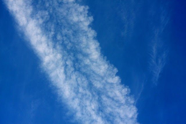 january contrails