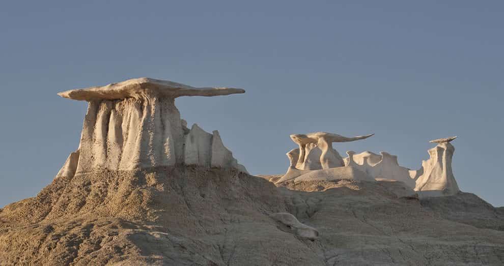 Bisti Wings
