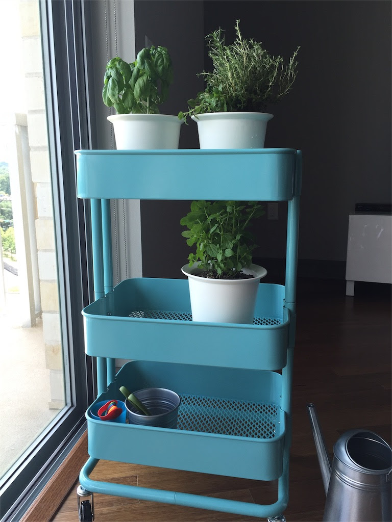 Ikeaのraskogキッチンワゴンでハーブを室内栽培 Living At Town Lake Austin