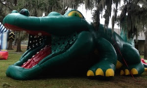 Florida Water Slide Rentals Tampa Inflatable Slides Airfun Games