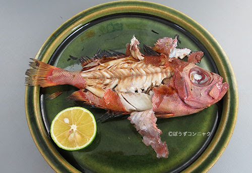 ほるもん魚料理アカネキントキの丸焼き ぼうずコンニャクのお魚三昧日記